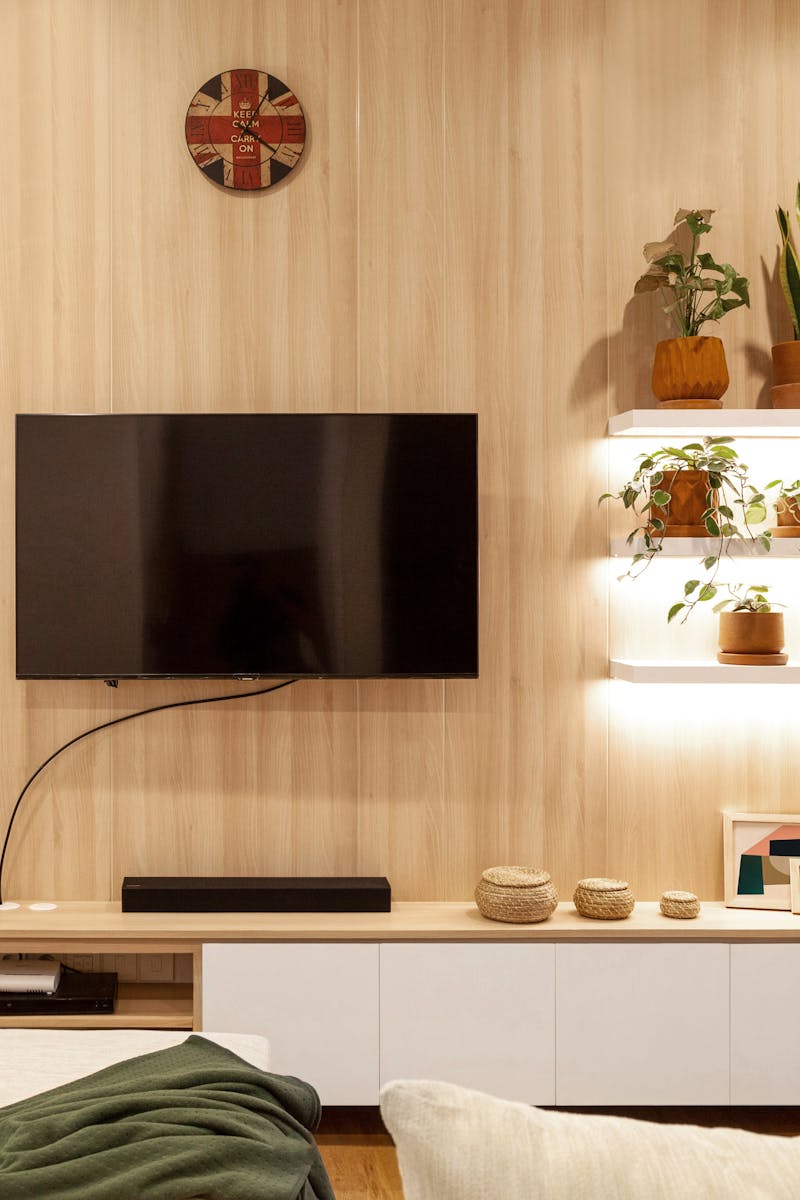 Cozy living room featuring a wall-mounted TV, wooden shelves, and potted plants.
